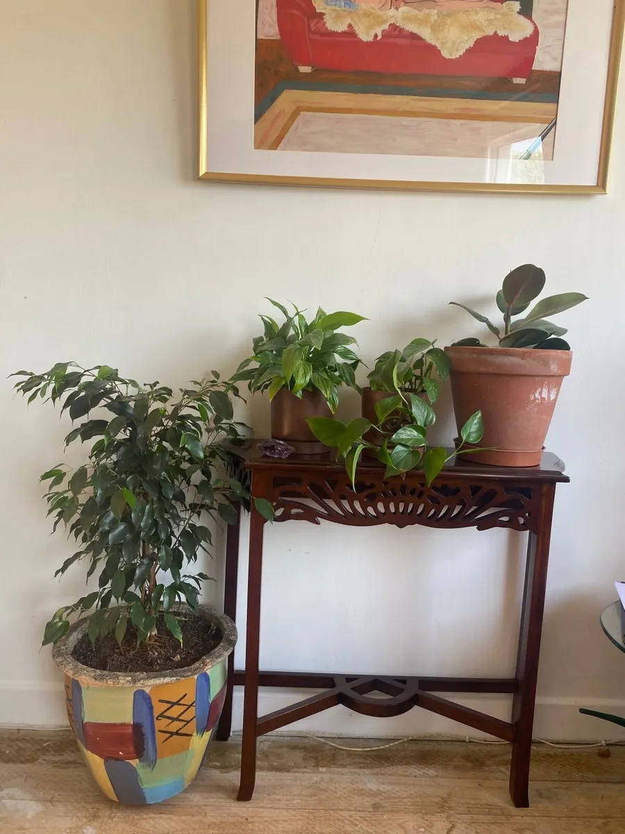 Mahogany side table - Image 1
