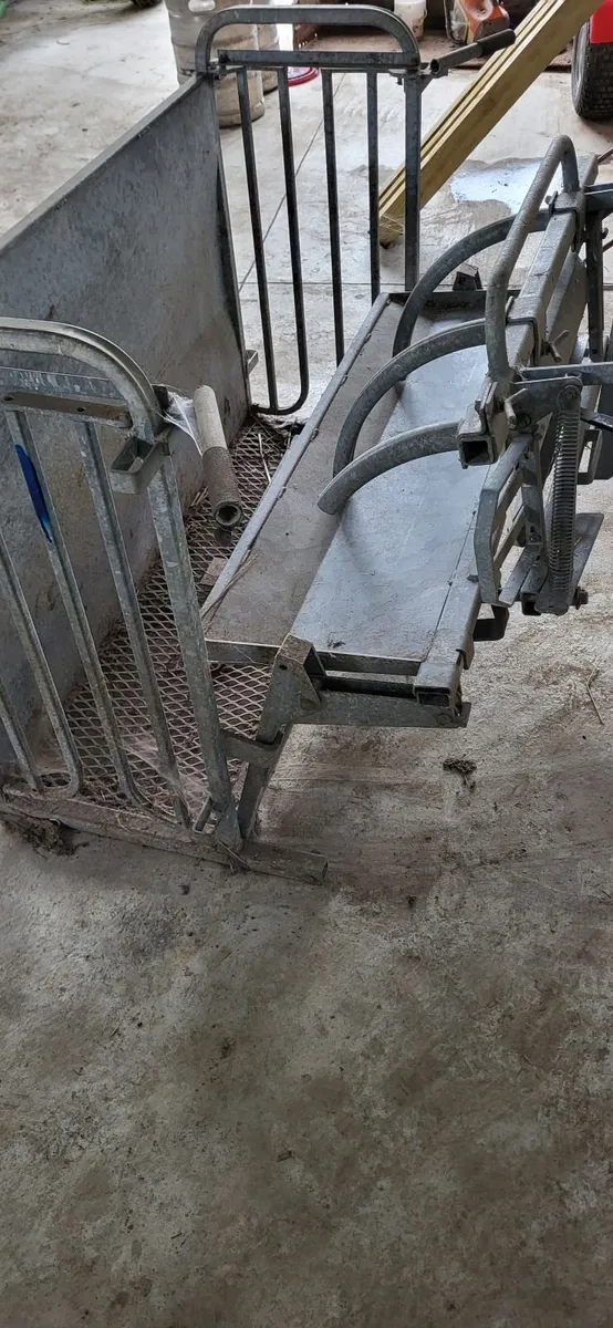 Sheep turnover crate - Image 1