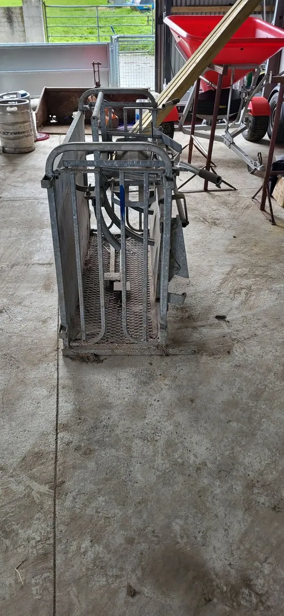 Sheep turnover crate - Image 2