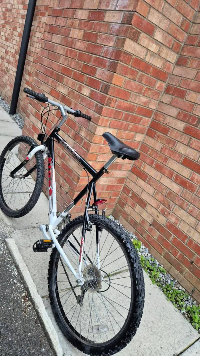 Mtb bike - Image 1