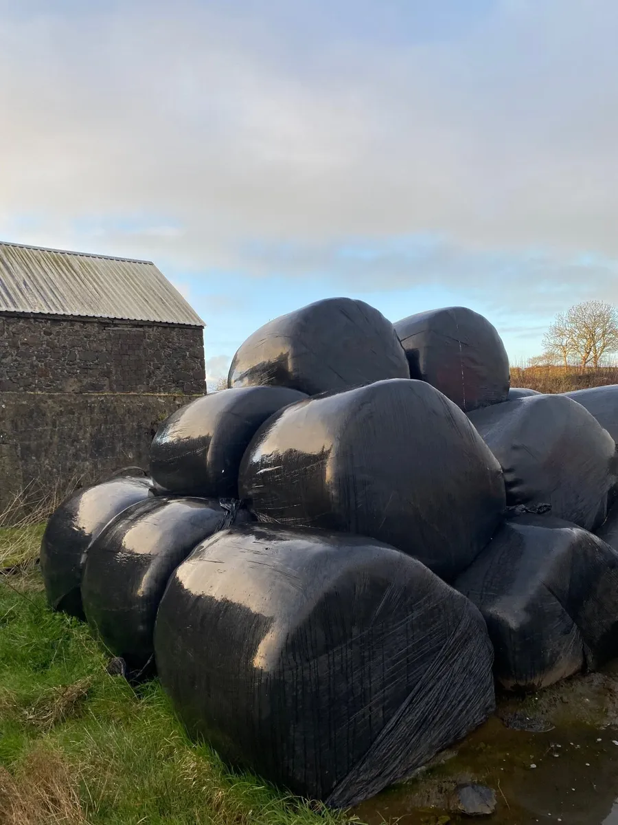 Silage - Image 1