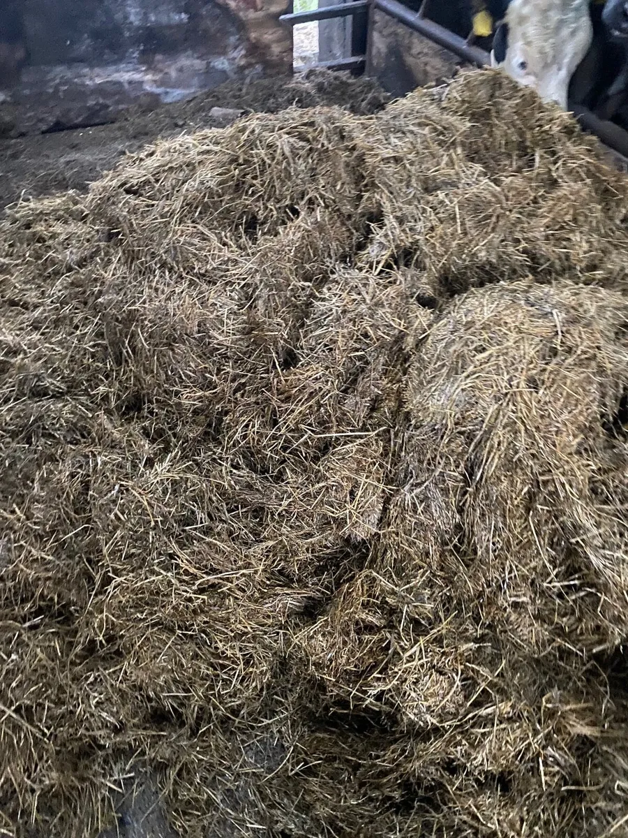 Silage - Image 3