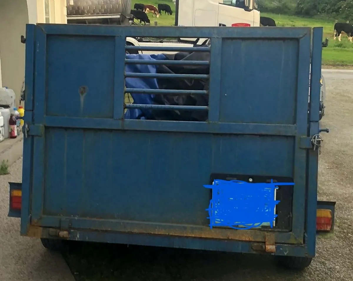 Trailer - Image 2