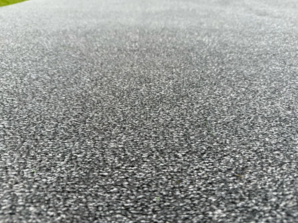 Carpet - Image 2