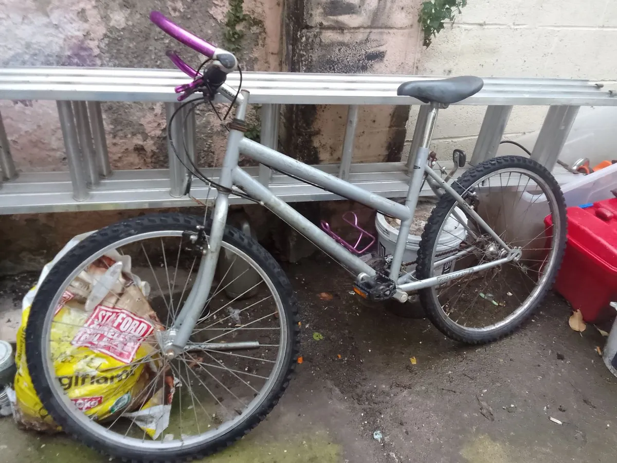 adult bike for sale - Image 2