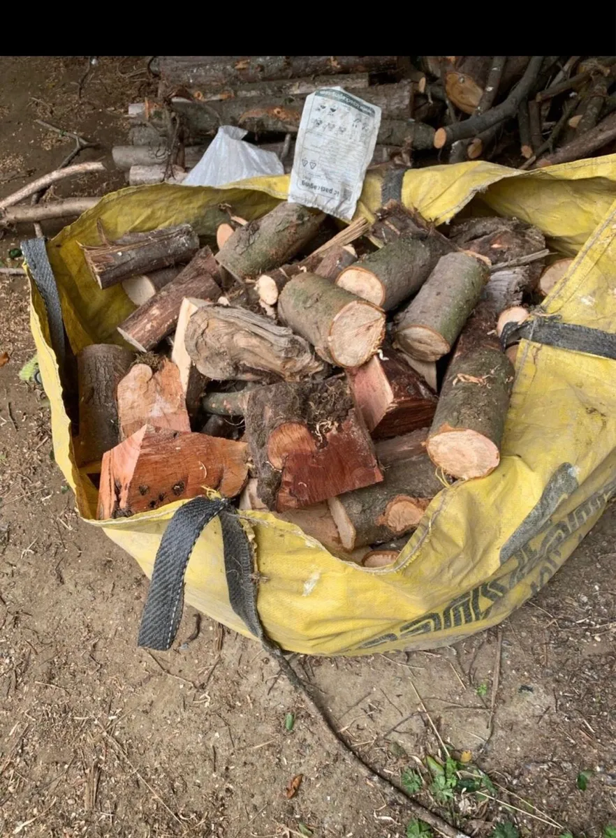 Firewood - Image 1