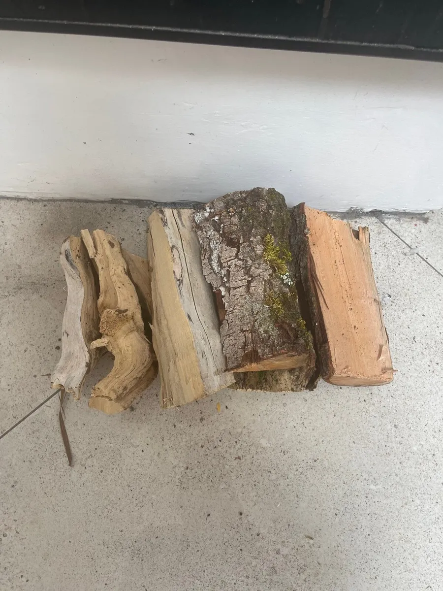 Firewood - Image 2