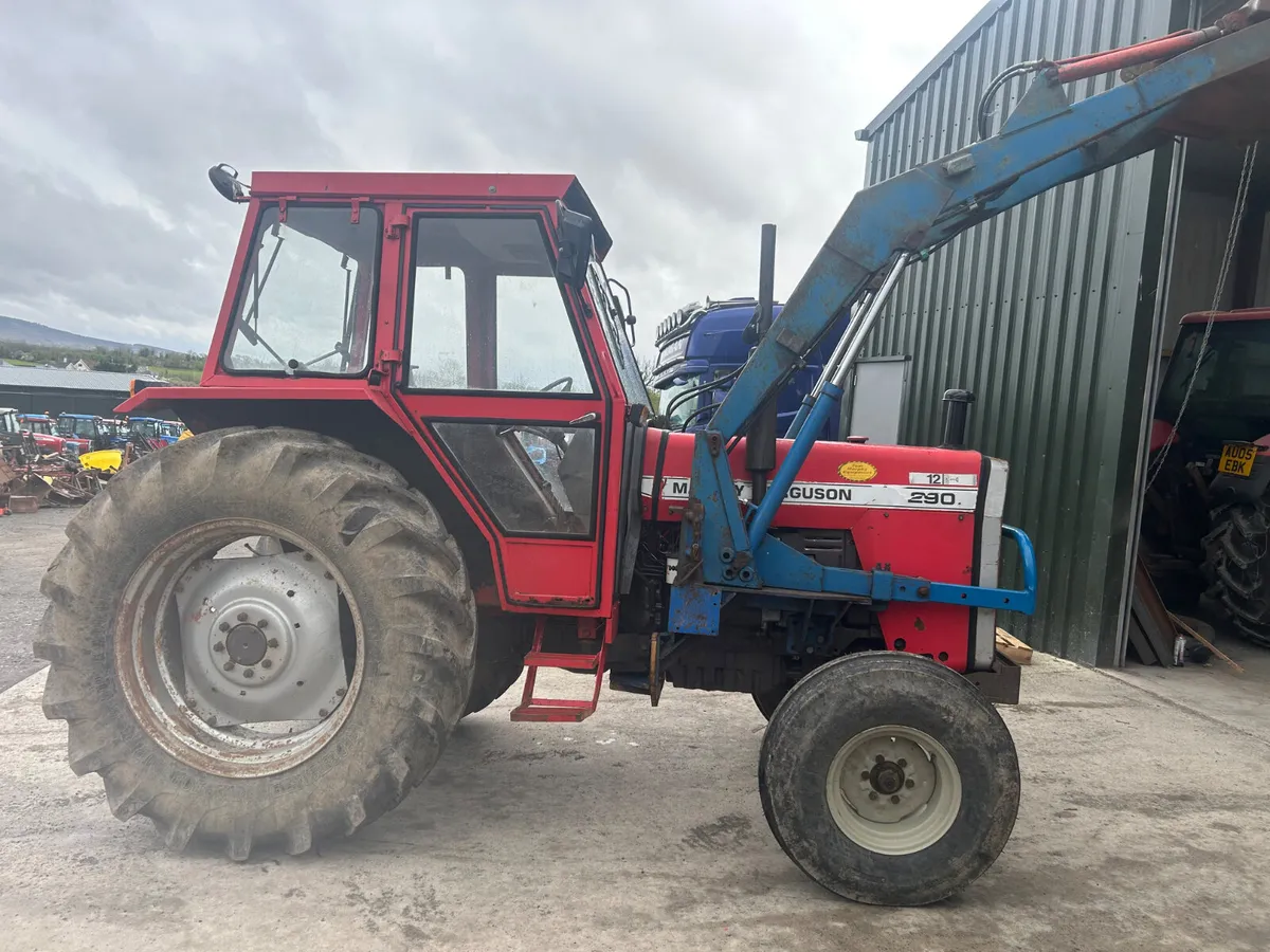1988 Massey Ferguson 290 with Loader - Image 4