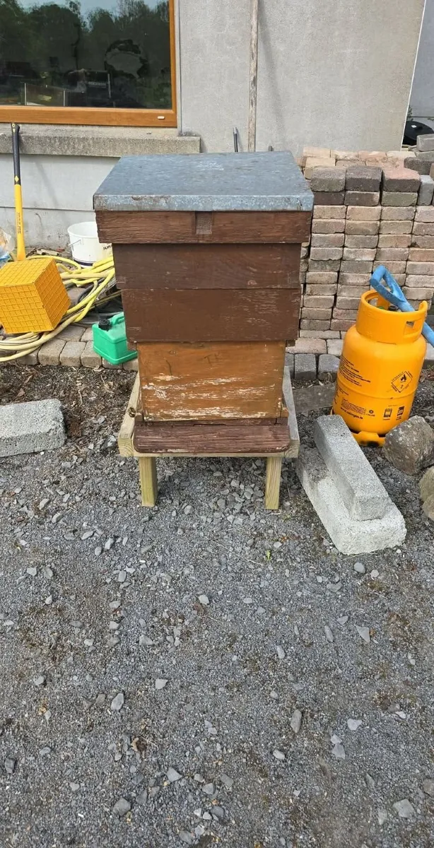 Bees - Image 1