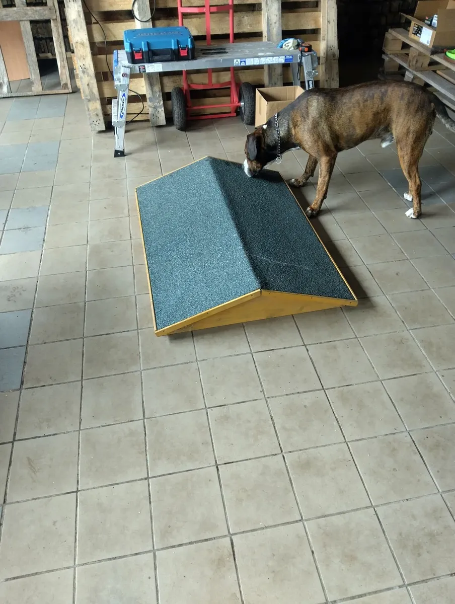 Petstop new dog house for sale. - Image 2