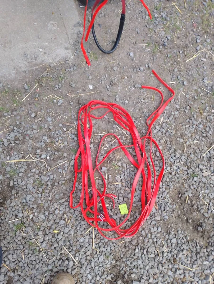 Racing sukly and Elite harness - Image 3