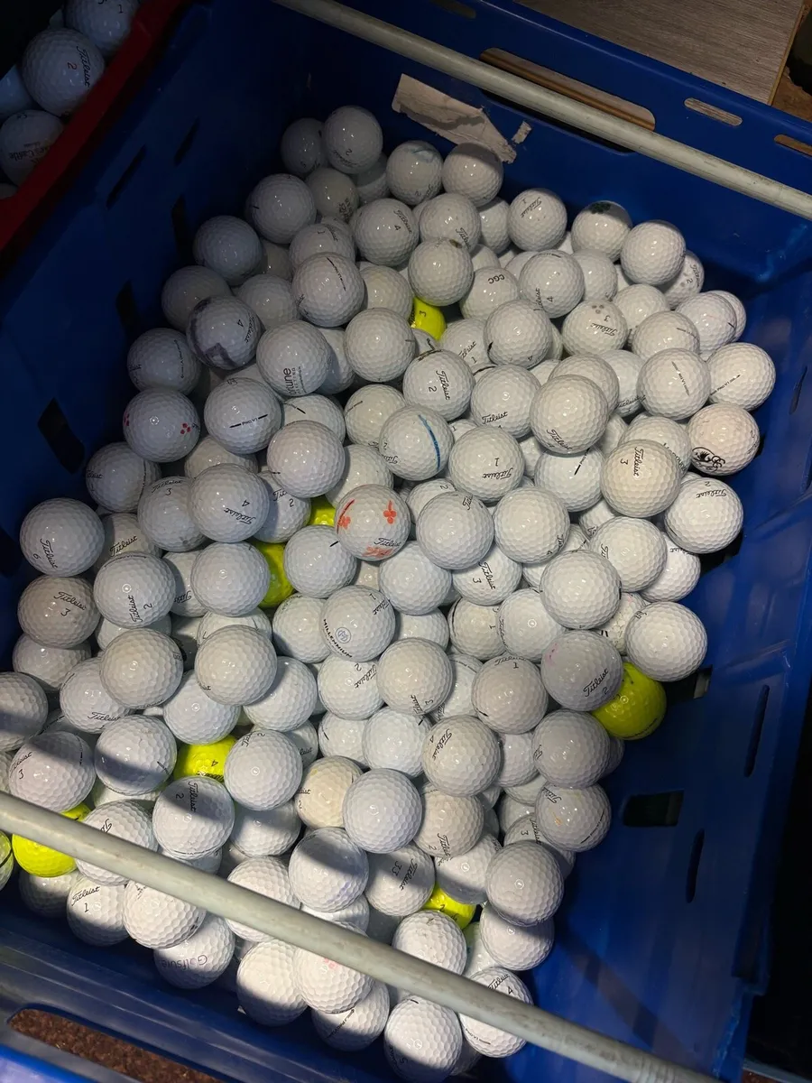 20 Titleist (Prov1) Golf Balls - Image 1