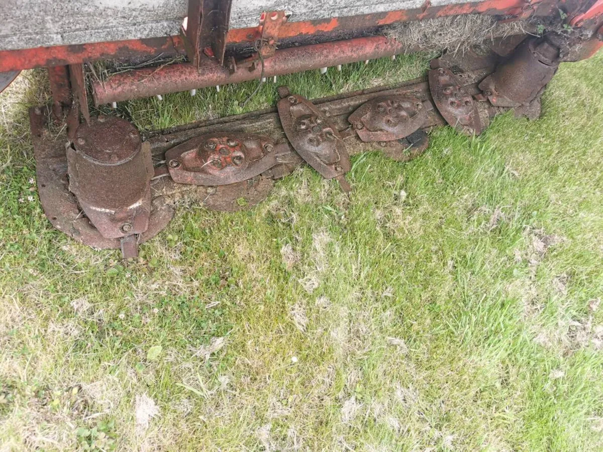 2 mowers - Image 4