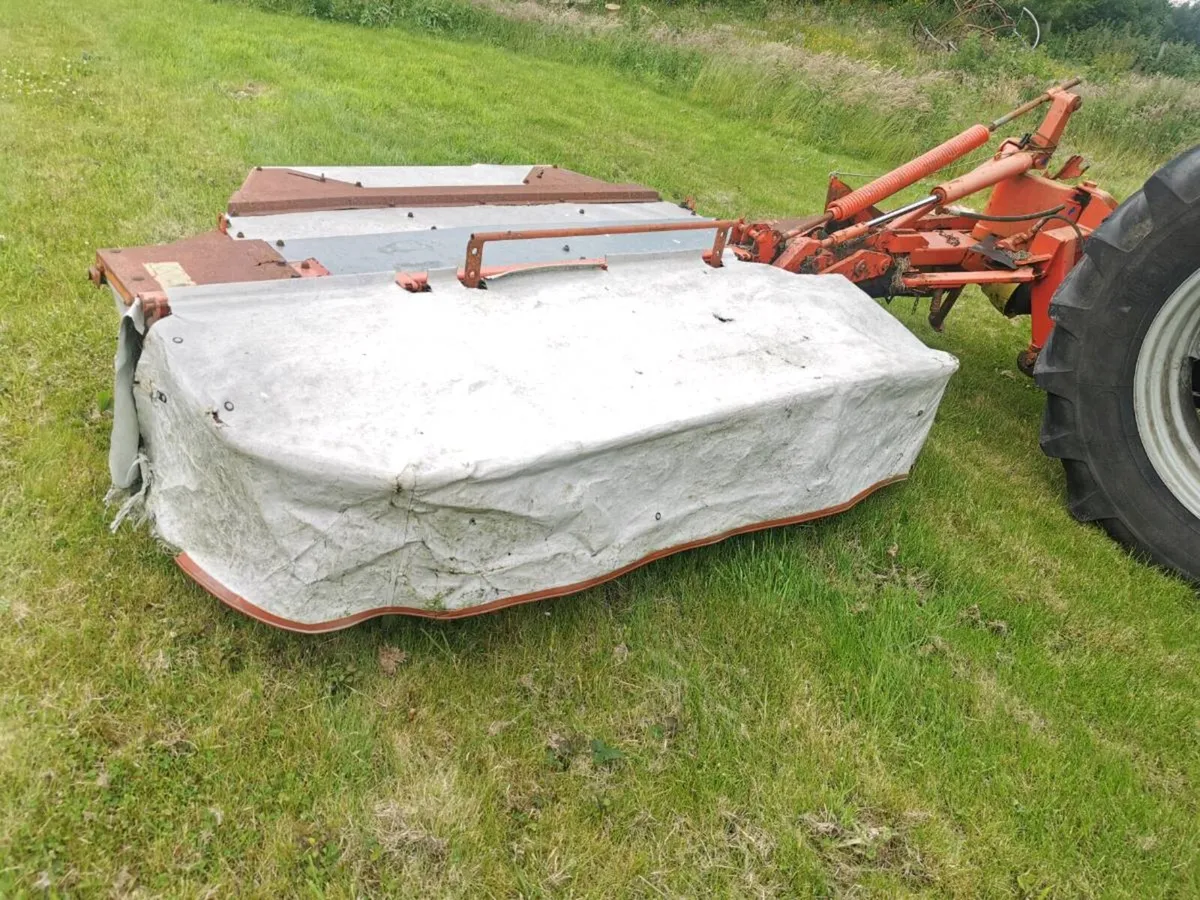 2 mowers - Image 3