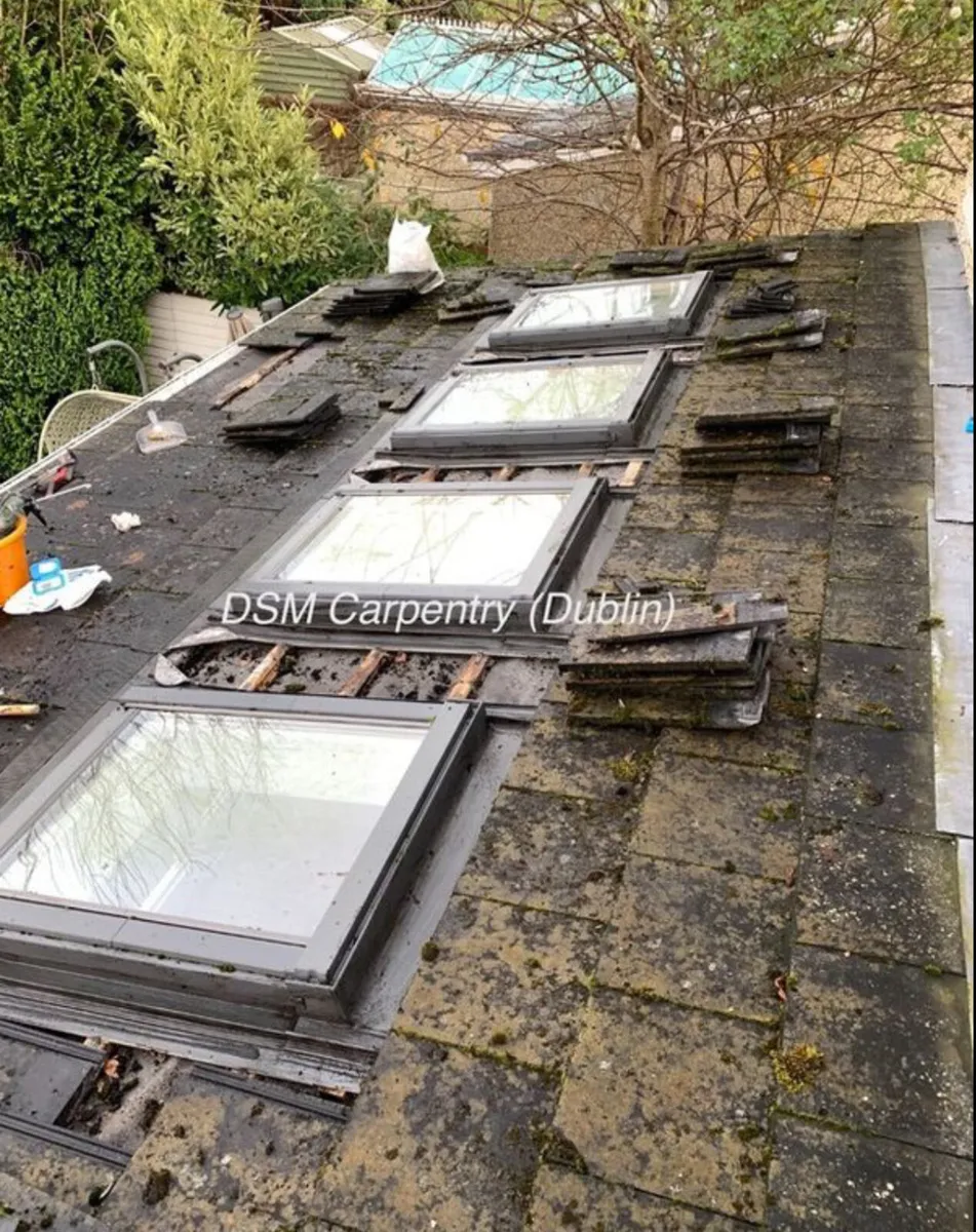 ROOFER - All Dublin & Surrounding Areas - Image 4