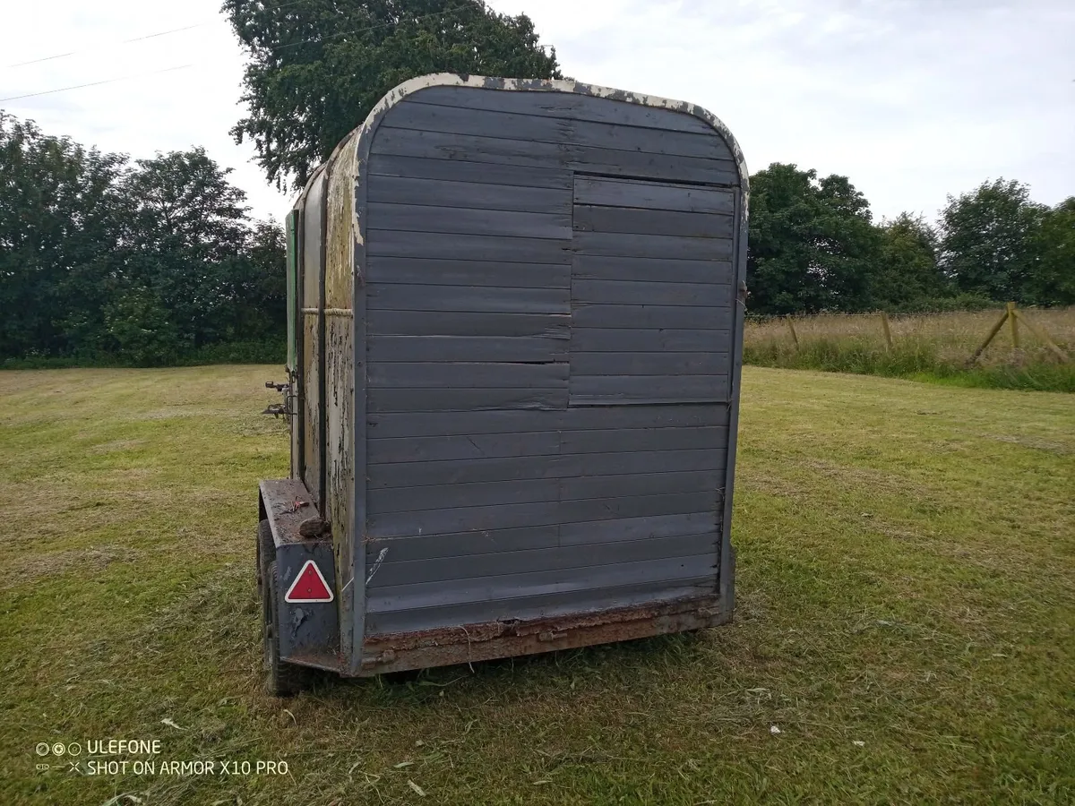 Horse box trailer project - Image 4