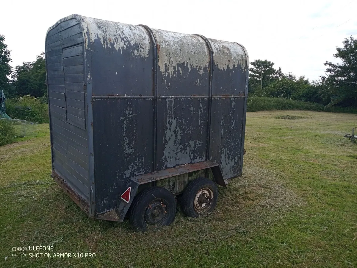Horse box trailer project - Image 1