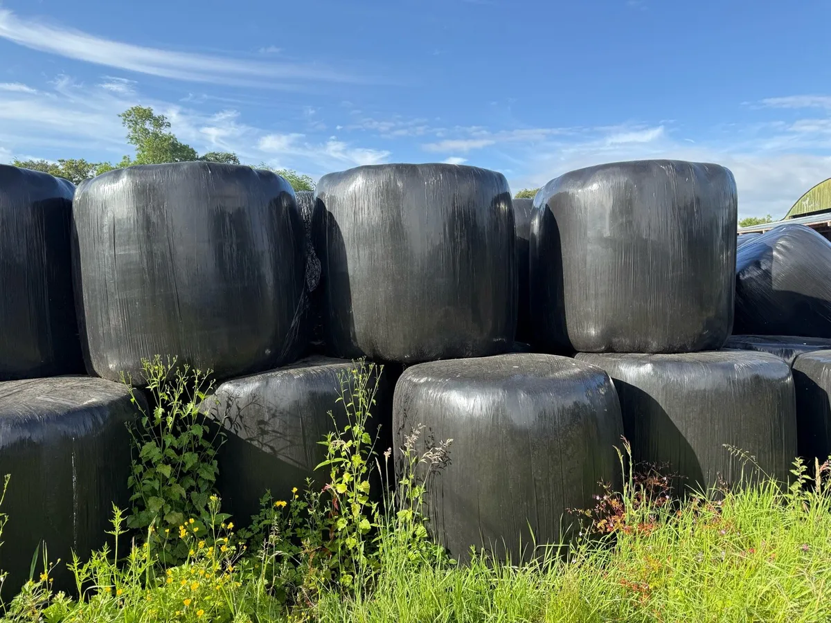Silage and hay - Image 1