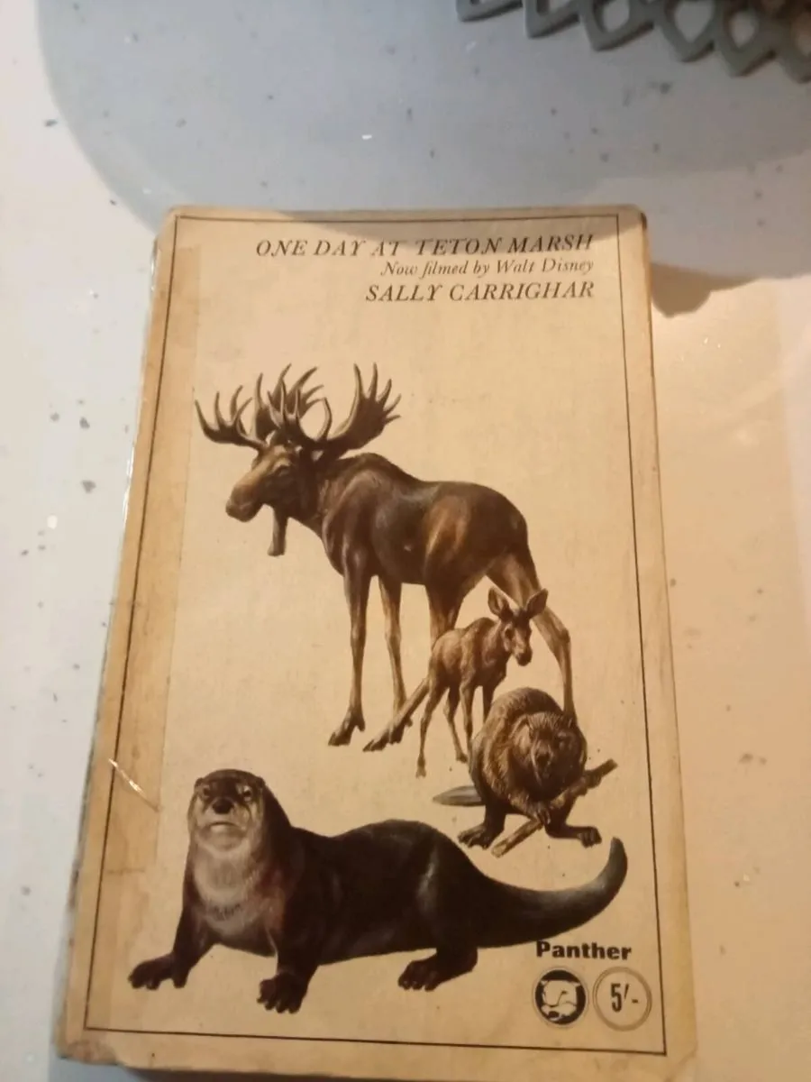 Old book - Image 1