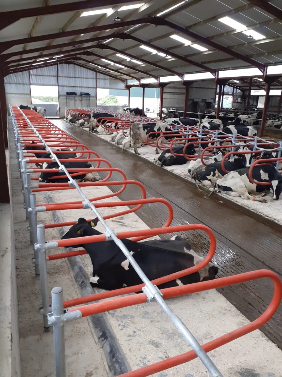 Teemore Engineering  Cow Cubicles - Image 3