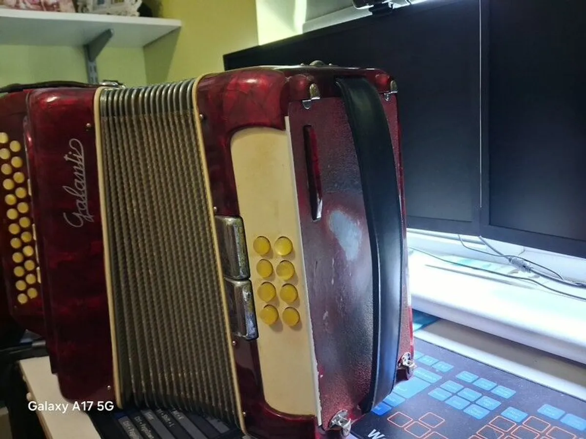 accordion - Image 3