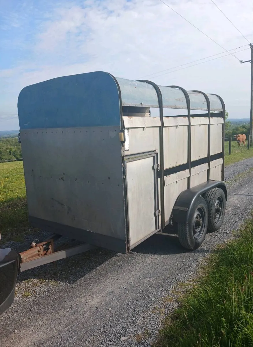 Ifor williams 10ft x 5ft cattle trailer - Image 1