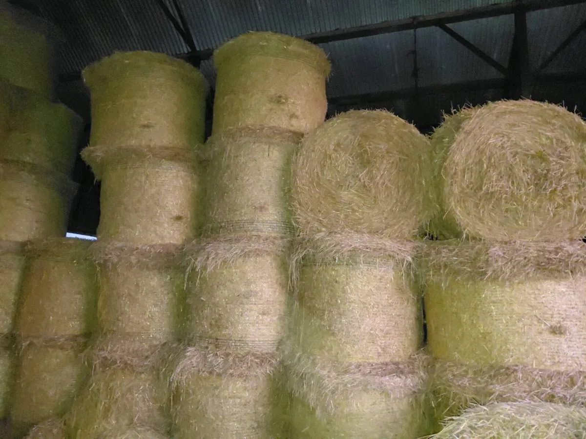 Straw