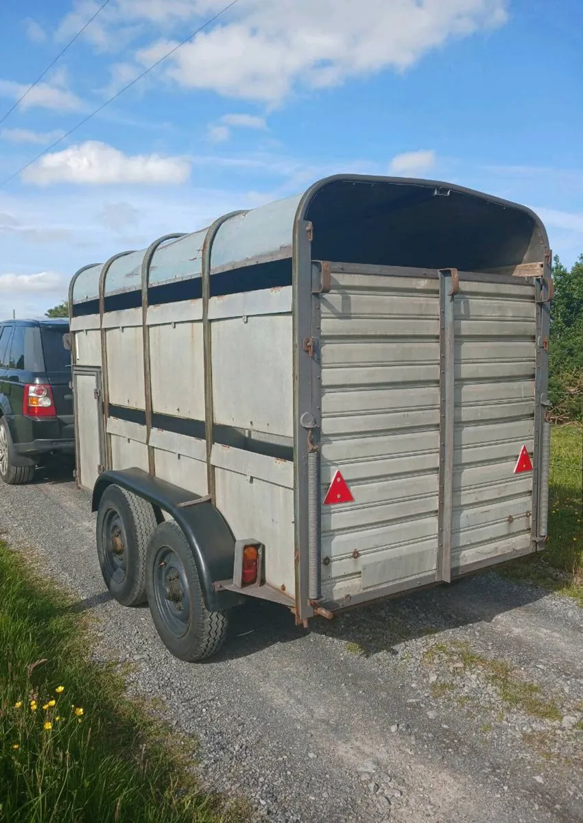 Ifor williams 10ft x 5ft cattle trailer - Image 2