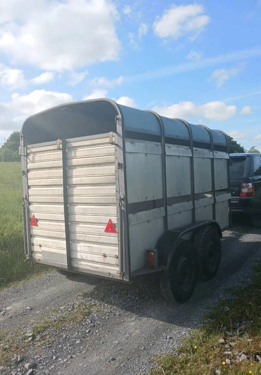 Ifor williams 10ft x 5ft cattle trailer - Image 3