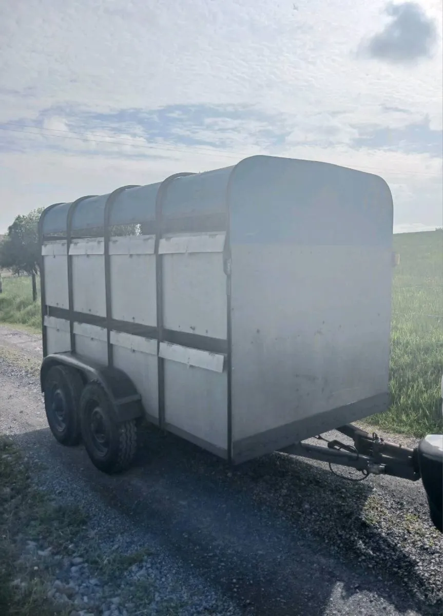 Ifor williams 10ft x 5ft cattle trailer - Image 4
