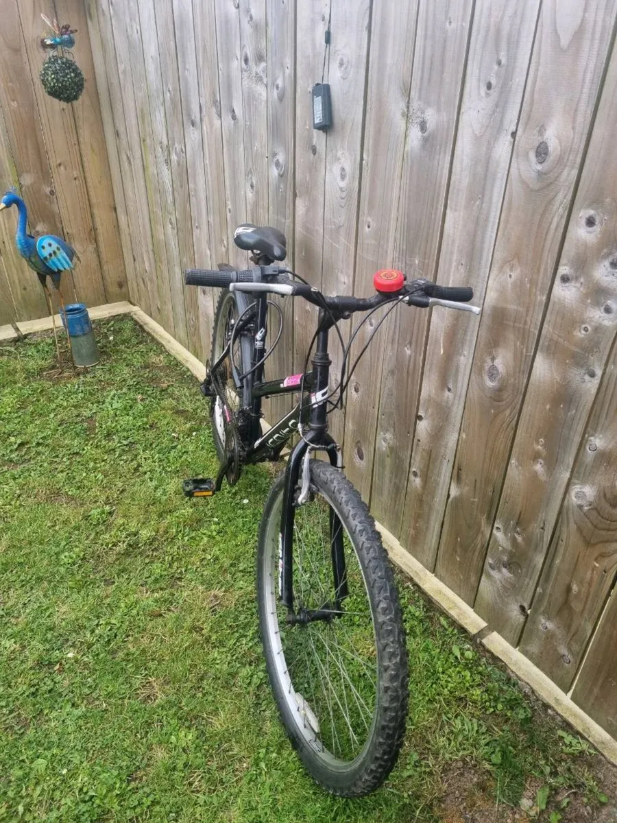 Girls bicycle - Image 1