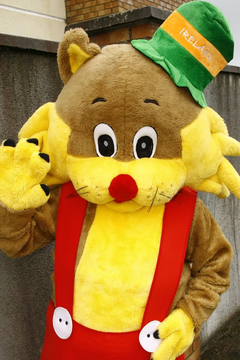 Used Professional "Crazy Cat" Mascot Costume - Image 2