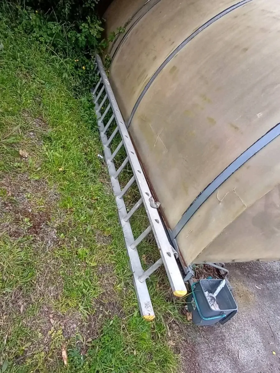 Ladder. About 12 ft. Free