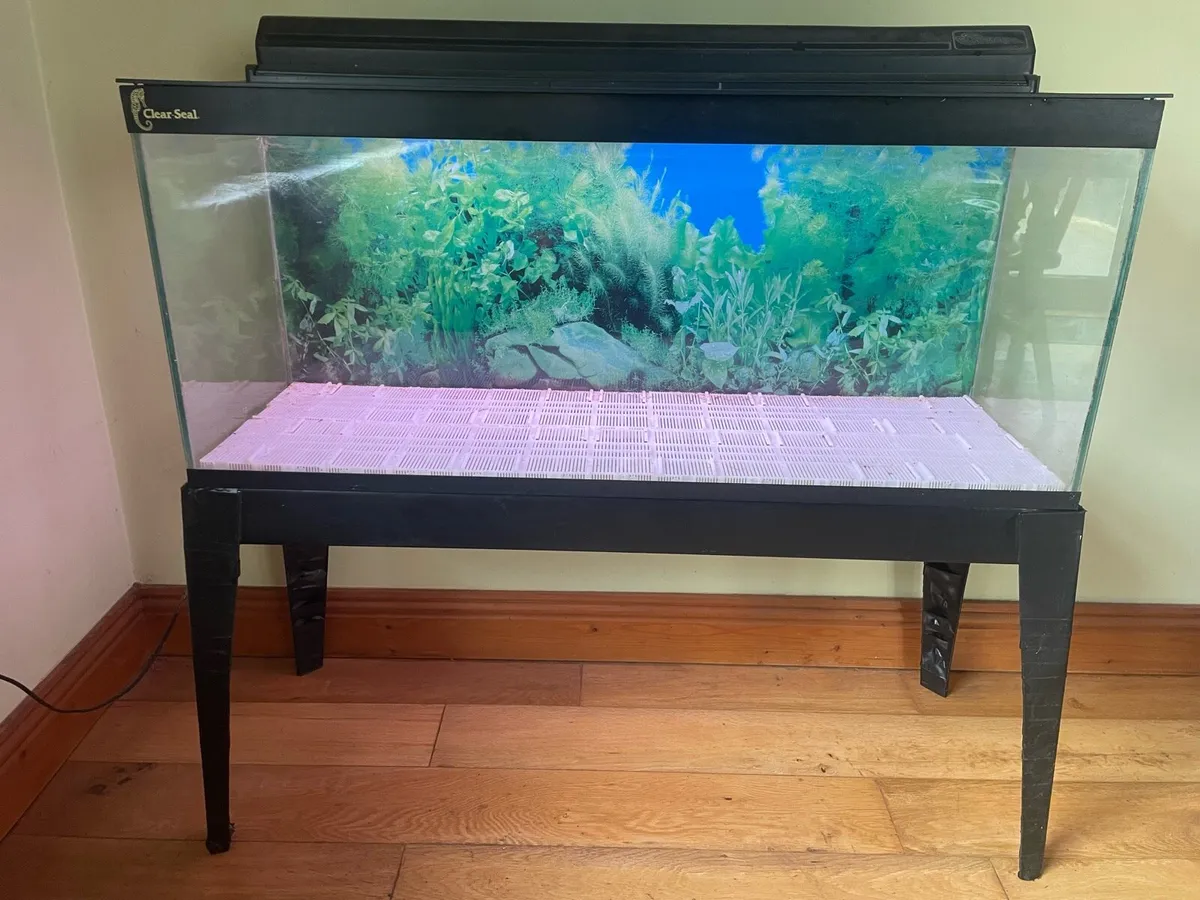 Clear Seal fish tank - Image 2