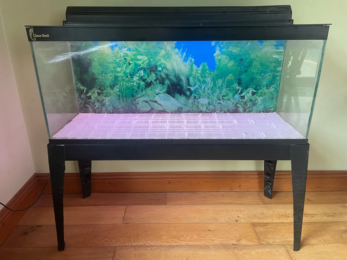 Clear Seal fish tank - Image 1