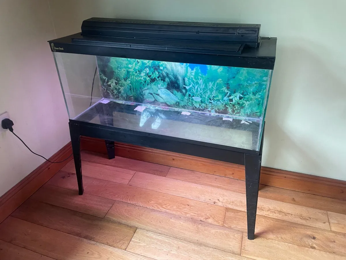 Clear Seal fish tank - Image 4