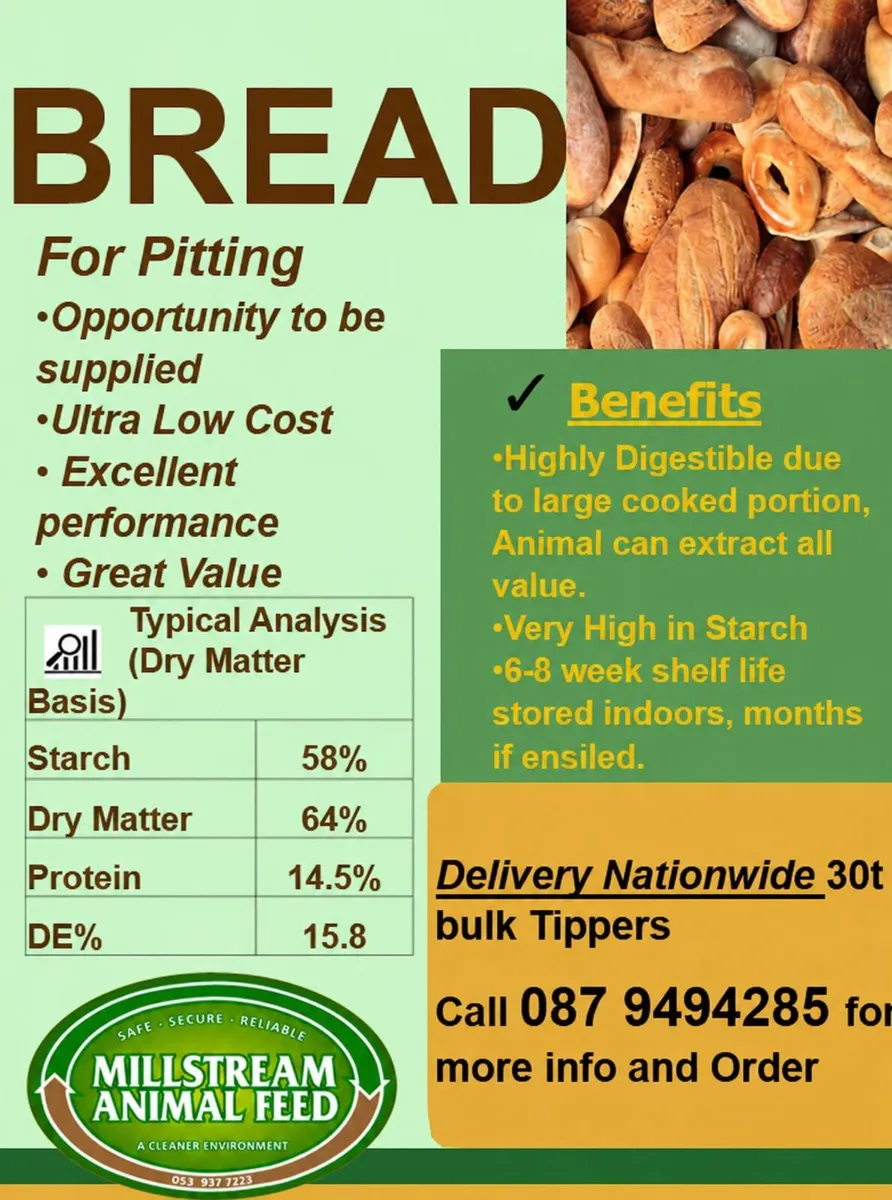Bread Feed