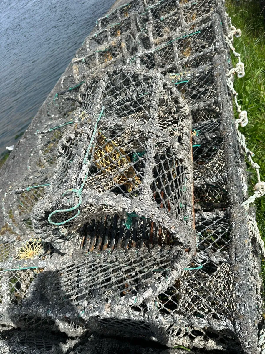 Lobster pots and rope - Image 2