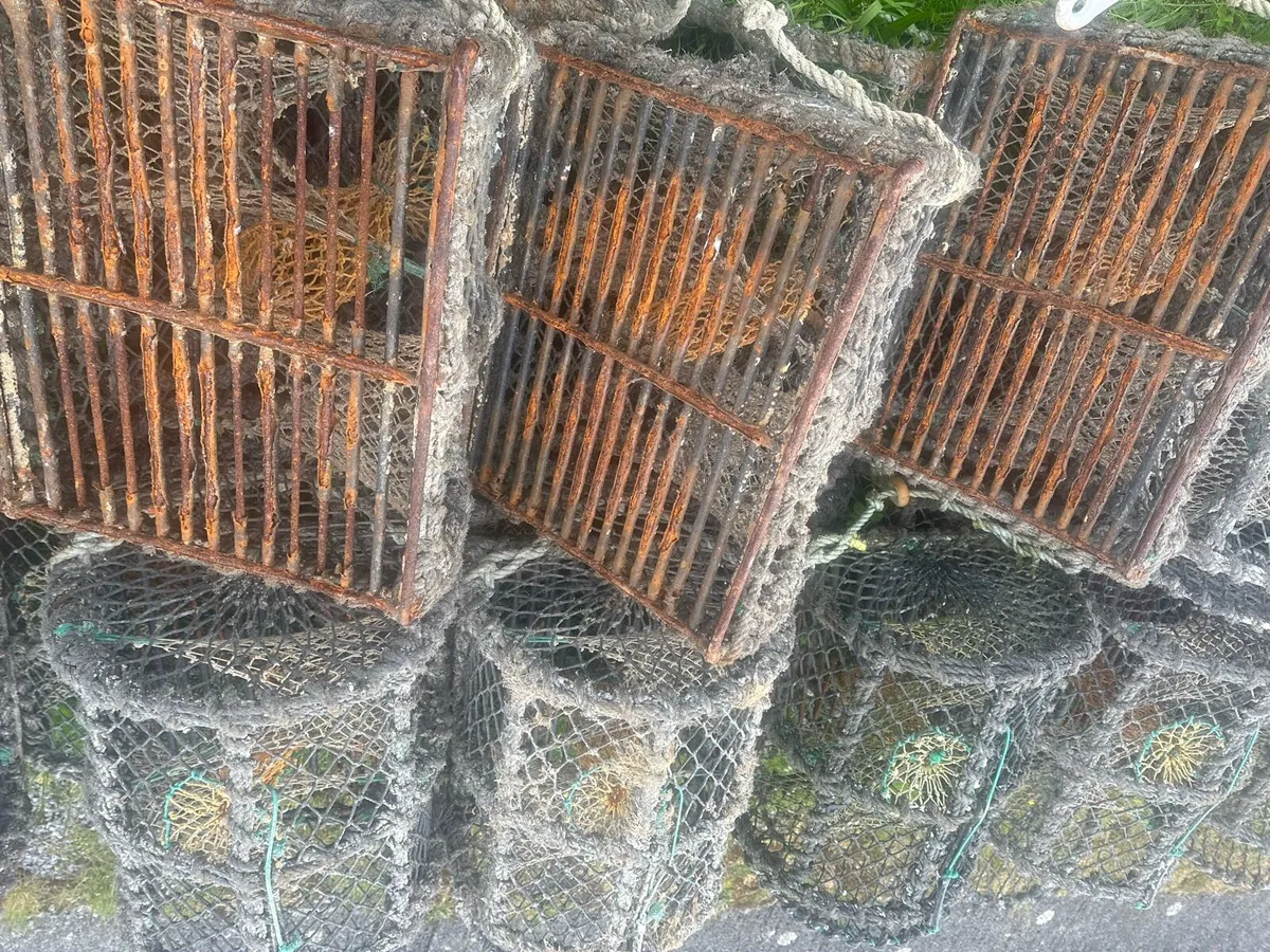 Lobster pots and rope - Image 4