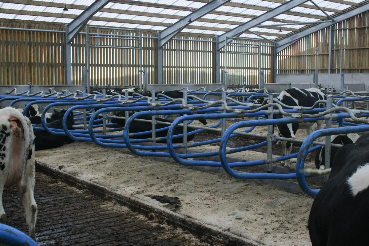 Teemore Engineering  Cow Cubicles - Image 4