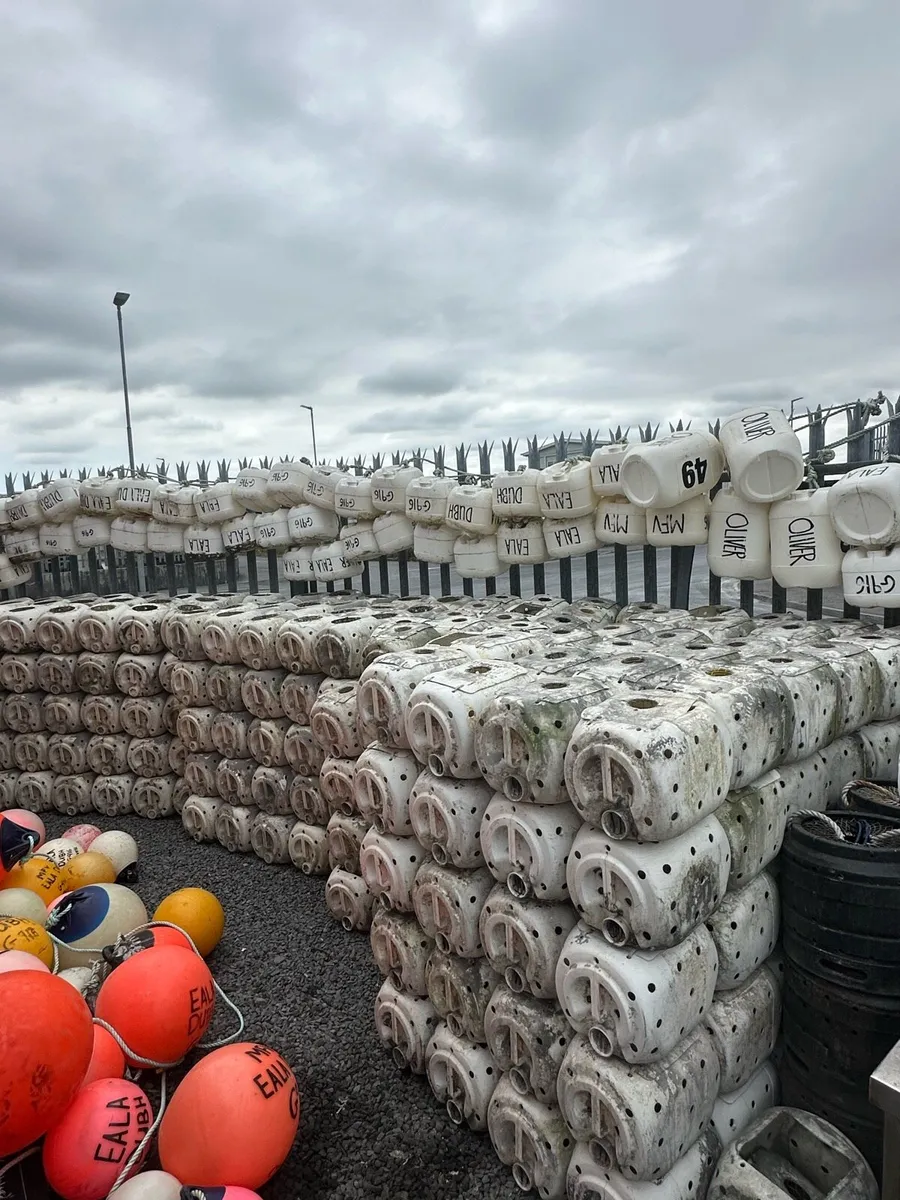 Whelk pots - Image 1