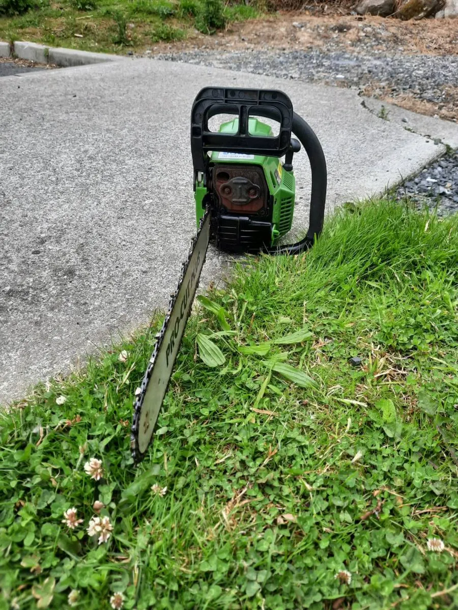Chainsaw - Image 2