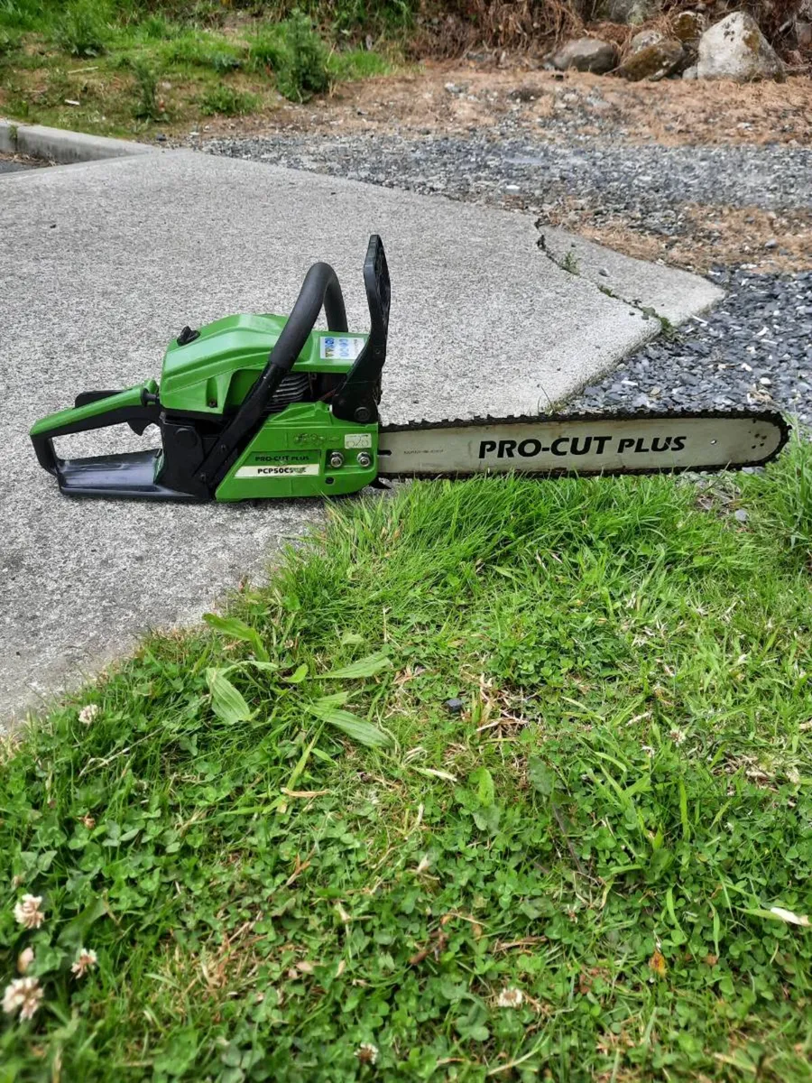 Chainsaw - Image 3