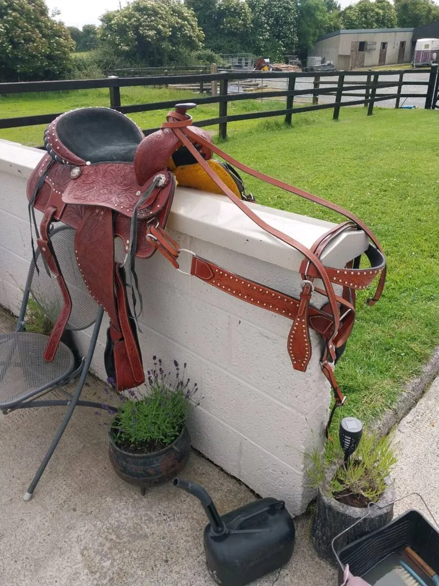 BEAUTIFUL WESTERN SADDLE, BRIDLE AND MORTINGALE - Image 3
