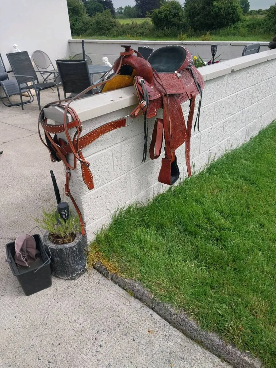 BEAUTIFUL WESTERN SADDLE, BRIDLE AND MORTINGALE - Image 4
