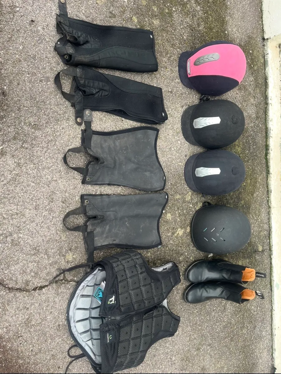 Horse riding equipment - Image 1