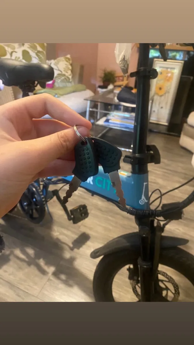Electric Bike - Image 3