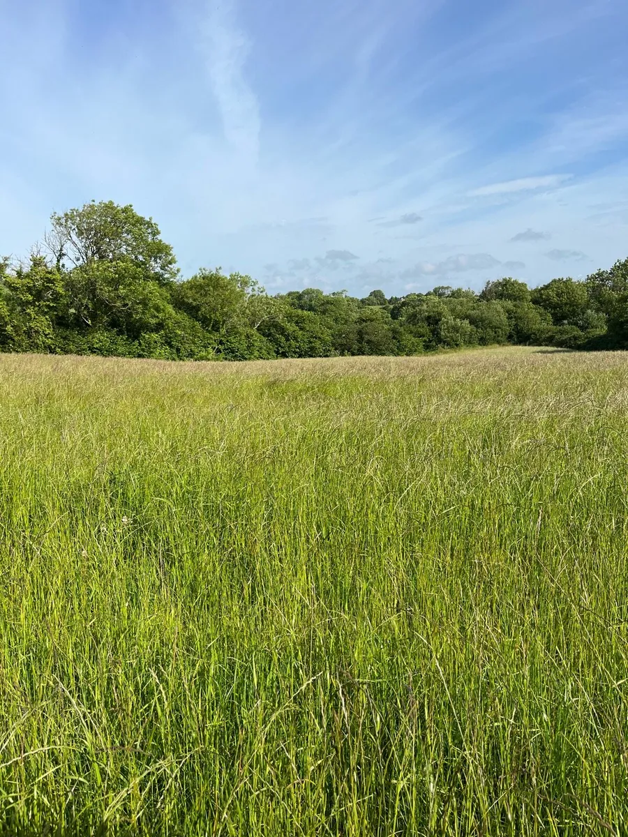 Land for hay/haylage - Image 4