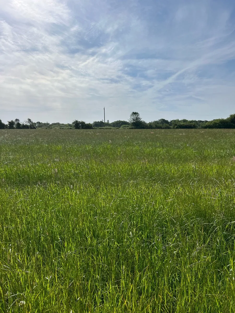 Land for hay/haylage - Image 1