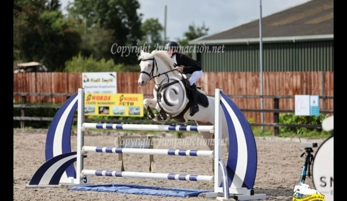 TALENTED 148 PONY - Image 1